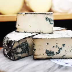 10 Amazing Vegan Cheese Brands You Probably Don’t Know About