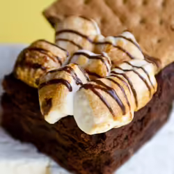 Gooey Vegan S’mores Coffee Brownies