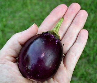 Stuffed Eggplants and Not-So-Dirty Rice