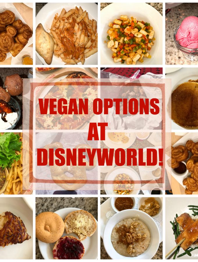 Vegan Options at Disneyworld