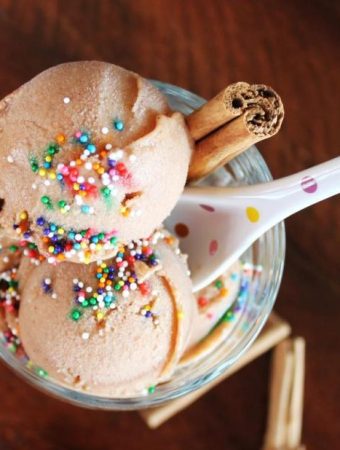 Vegan Cinnamon Ice Cream