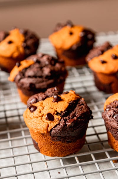 Marbled Vegan Pumpkin Chocolate Muffins