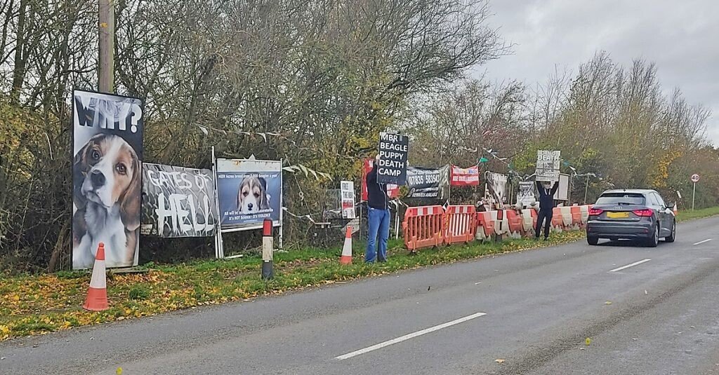 UK High Court Removes Exclusion Zone Around the Beagle Breeding Facility by Camp Beagle