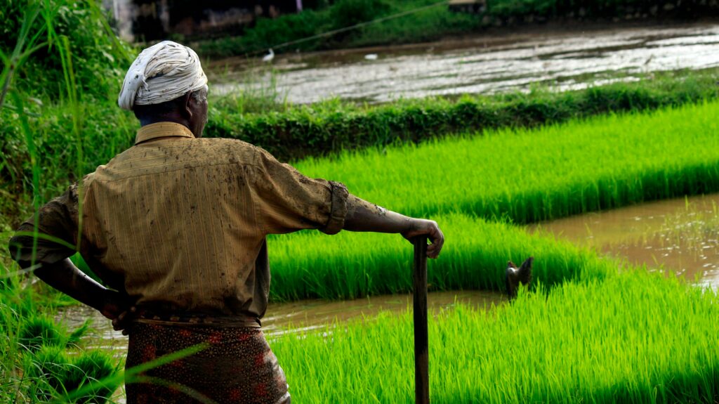 World Day of Social Justice: How a Plant-Based Food System Could Build Fairer Societies