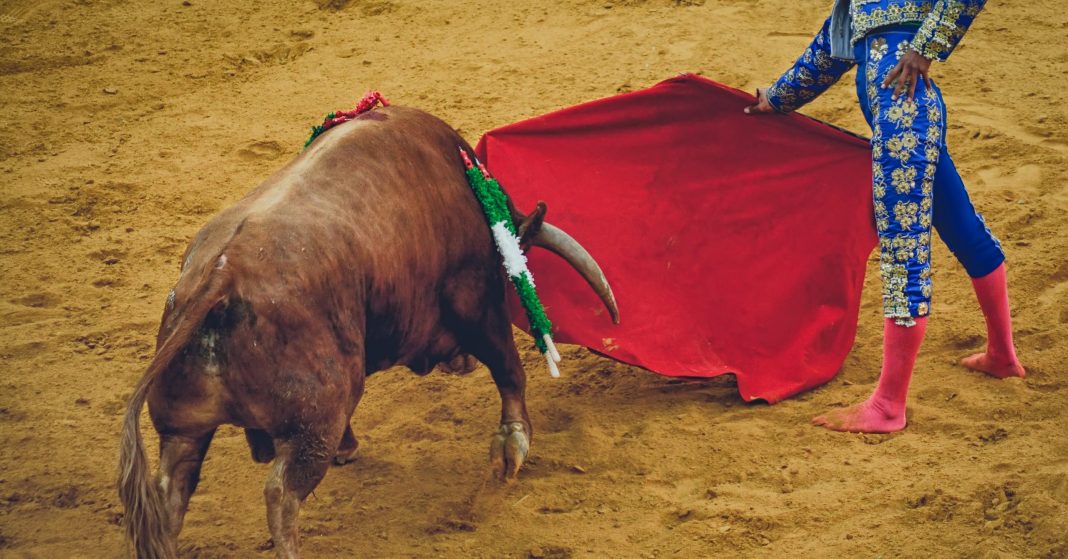 Eight Facts the Bullfighting Industry Does Not Want You to Know