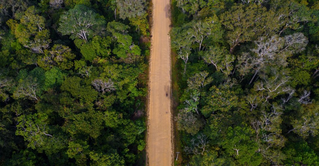 Tens of Thousands of Acres of Amazon Rainforest Destroyed for COP30 ...