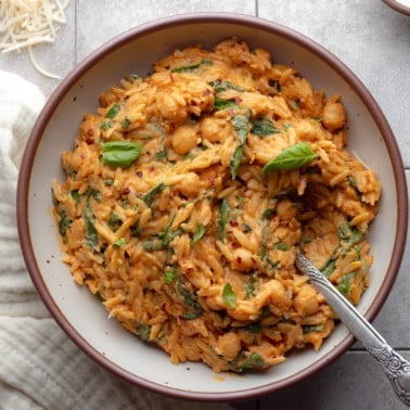 One Pot Creamy Tomato Orzo