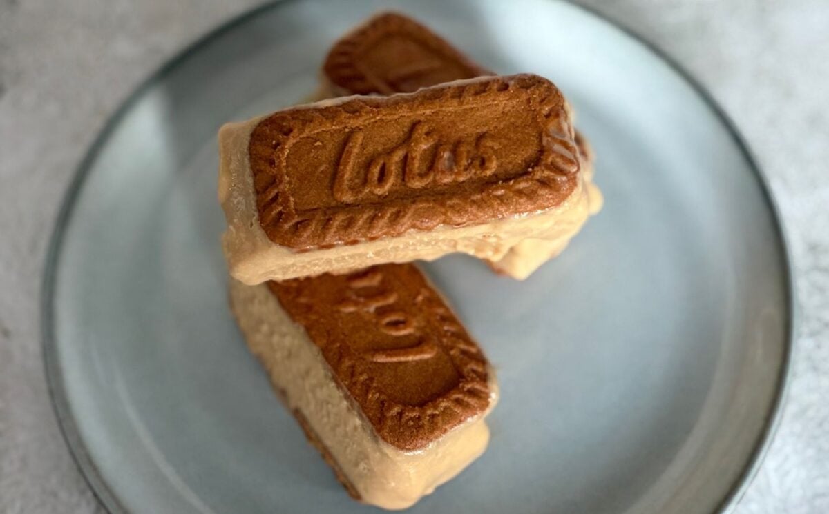 Vegan Biscoff Ice Cream Sandwich