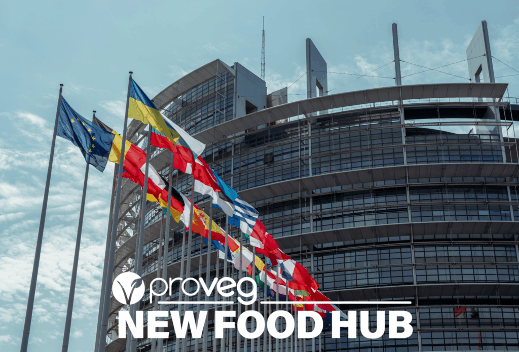 EU Labelling Rules Could Reshape the Plant-Based Market – Industry Voices Are Sounding the Alarm