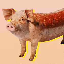 Making Meat Look “Weird:” Veganuary’s New Campaign Challenges Food Norms
