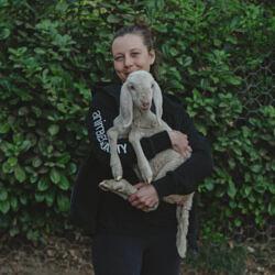 Volunteer to help animals: 6 steps you can take today