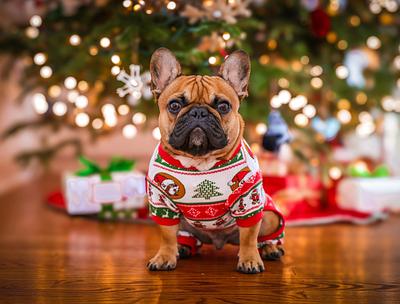 12 tips for a sustainable Christmas as a vegan