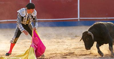 Peruvian Politicians Recognise Bullfighting as a Protected Cultural Manifestation