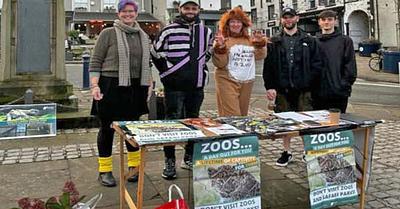 Cumbria Safari Zoo in the UK Is Closing After Years of Campaigning 