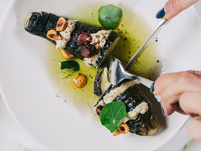 Why the Portugal Government Voted to Create A National Plant-Based Strategy