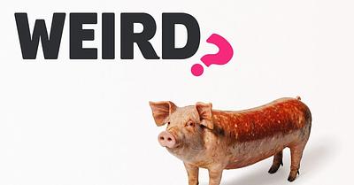 Veganuary 2025: Challenging Food Norms with Provocative New Campaign
