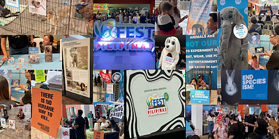 VegFest 2024 Philippines: Honoring the Legacy of Mali the Elephant