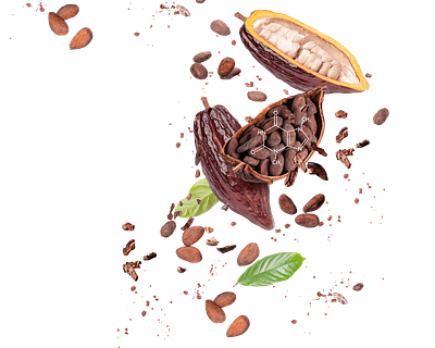 Celleste Bio Secures $4.5M to Scale Production of Cell-Cultured Cocoa, Mondelēz VC Arm Participates