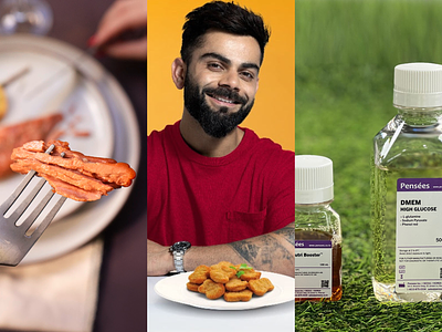 Future Food Quick Bites: Indian Vegan Nuggets, Airline Sushi & Non-Dairy Grilled Cheese