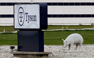 Animal Charity Hopes To Convert Meat Plant Into ‘Animal Empathy Museum’