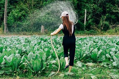 ProVeg Calls for Restructuring of EU Agriculture Subsidies to Prioritise Sustainable Crops