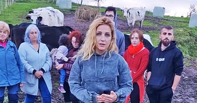 A Spanish Court Orders the Return of Several Cows Living in a Sanctuary to the Farm From Which They Were Rescued