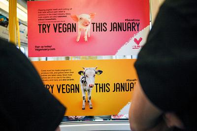 Veganuary Participants More Likely To Become Disgusted By Meat, Study Finds