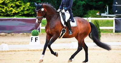 Dressage Gold Medallist Dujardin Given One-Year Ban for Whipping Horse