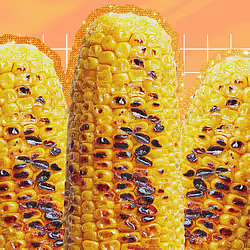 To Grill or to Boil? What’s the Best Way to Cook Corn on the Cob?