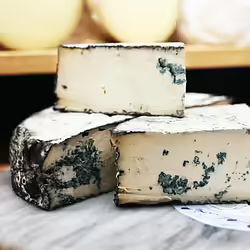10 Amazing Vegan Cheese Brands You Probably Don’t Know About