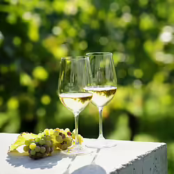 10 Exceptional White Wines You Didnât Know Were Vegan