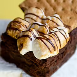 Gooey Vegan S’mores Coffee Brownies