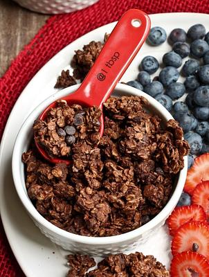 Vegan Chocolate Granola (Oil-free)