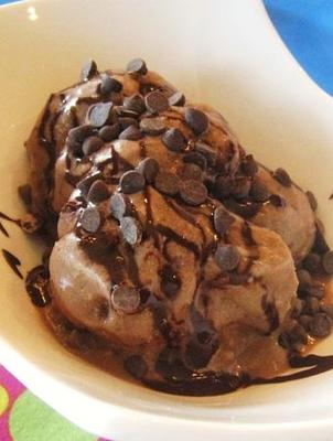Vegan Peanut Butter Chocolate Chip Ice Cream