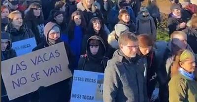 Over a Hundred Activists Stop Authorities from Removing Cows from Sanctuary in Spain 