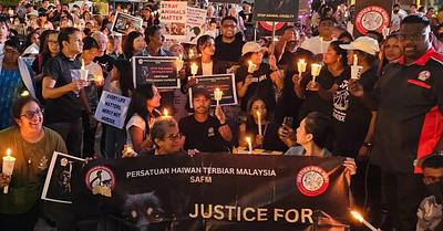 Malaysian Animal Rights Activists Hold Candlelight Vigil for Kopi the Dog