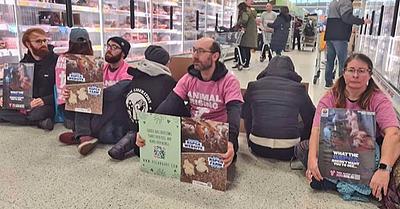Aggressive Shoppers Push Animal Rights Protesters in Portswood Sainsbury’s Meat Aisle