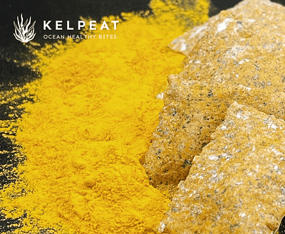 KelpEat Introduces Crackers Featuring Solein Fermented Protein and Eu-Farmed Seaweed