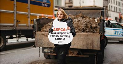 PETA Activists Attempt Manure Dump at New York ASPCA Offices