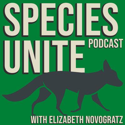 Chimp Crazy: Brittany Peet: The Attorney