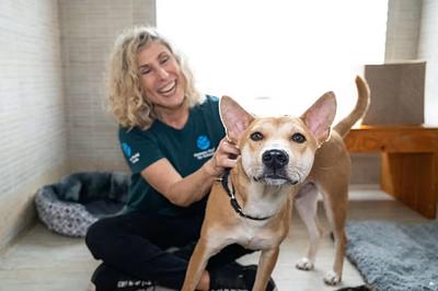 Humane Society Rebrands as Humane World for Animals, Launches Global Campaign Featuring Sia