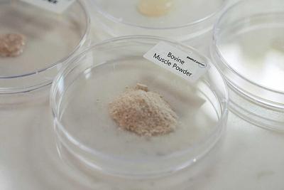 Simple Planet Unveils Serum-Free Cell Culture Medium, Slashing Costs by 99.8%
