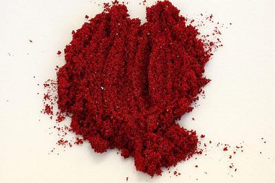 Debut Develops Animal-Free Carmine Pigment Using Proprietary Biotechnology