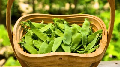 Mangetout
