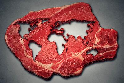 Climate Change Committee Report Tells UK Government to Slash Meat & Dairy Consumption