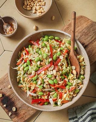 Napa Cabbage Salad with Sesame Dressing