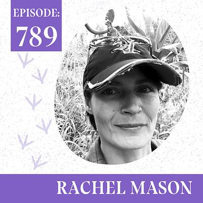 Systems Thinking & Factory Farming: A Strategic Approach with Dr. Rachel Mason