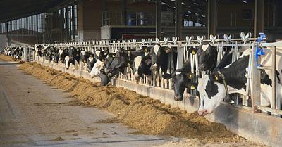 Number of English Farms Down a Quarter Compared to 2005