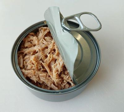 Dutch Structuring Technologies Improves Precision of the “Next Big Technology” in Meat Alternatives