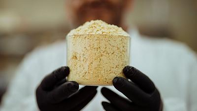 Wide Open Agriculture’s Lupin Protein Isolate Gains Chinese Market Approval